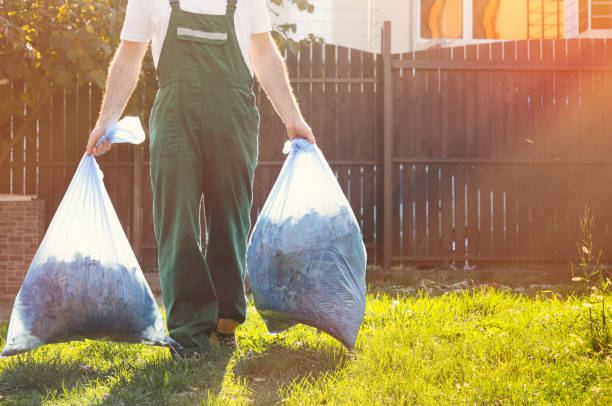 Best Local Junk Hauling  in Albertson, NY